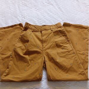 BDG Mia Embroidered Mushroom Straight Leg Chino Pant Size 2